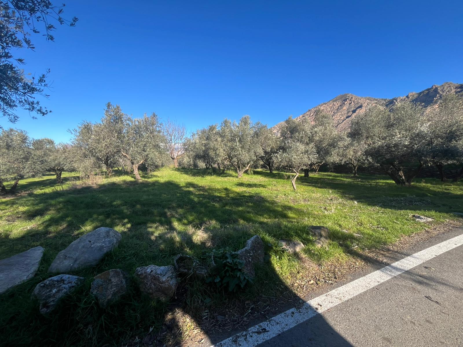 NIGÜELAS finca rustica 90.000€