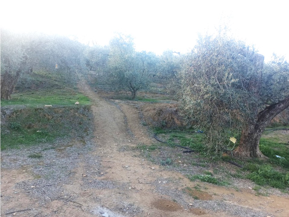 SALERES finca rústica 75.000 €