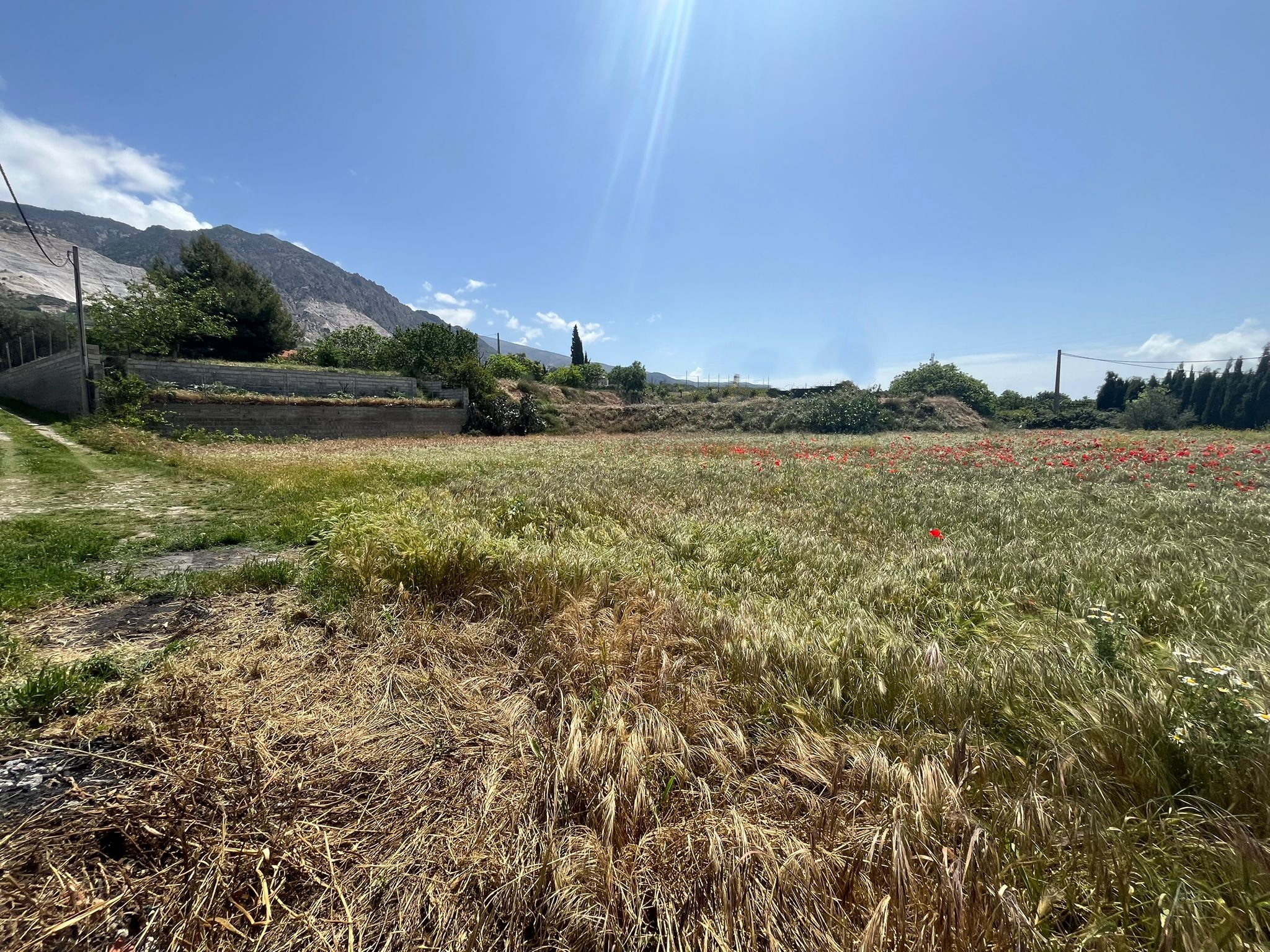 DÚRCAL finca 35.000 €